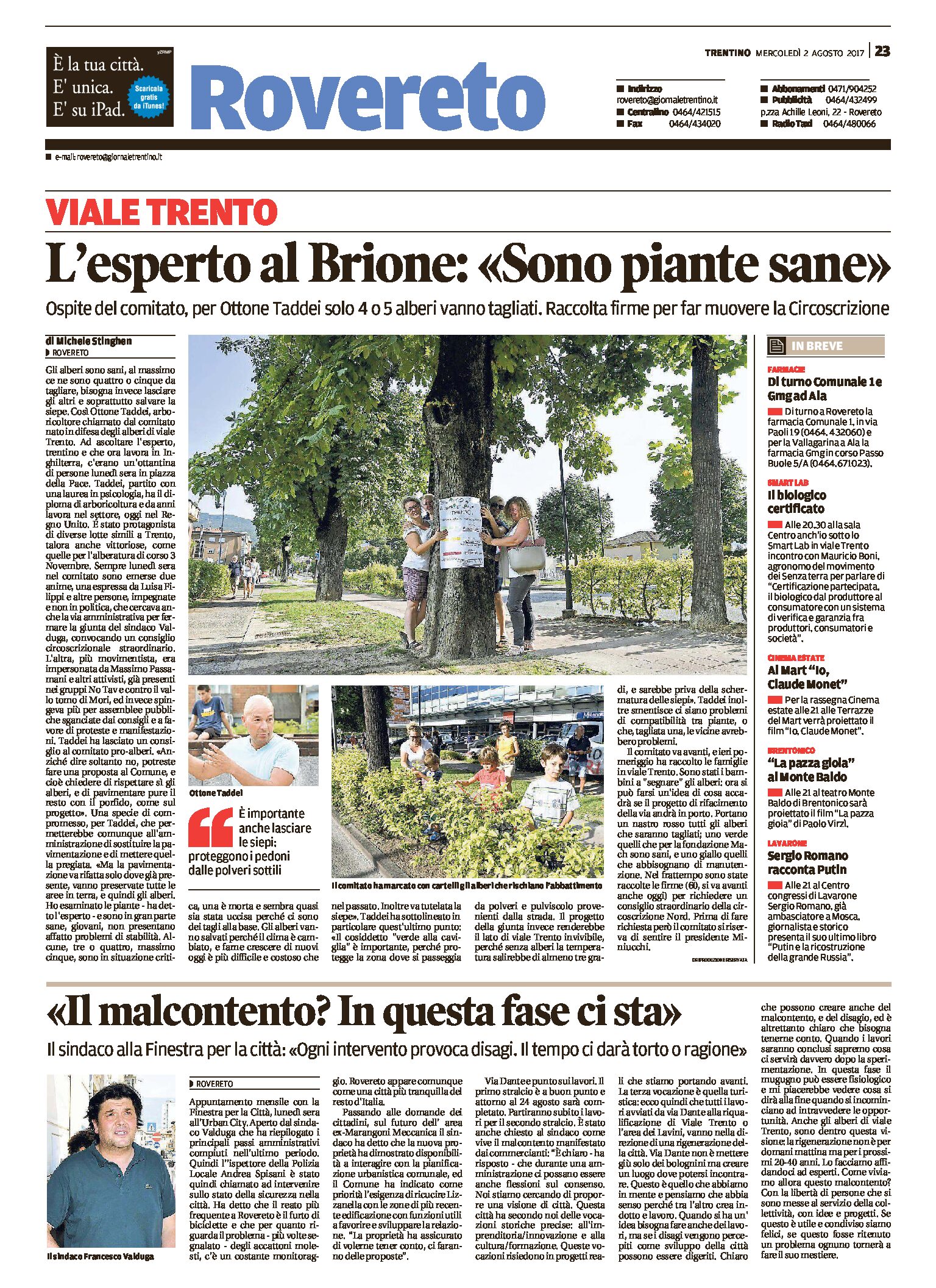 Rovereto, gli alberi “sono piante sane”