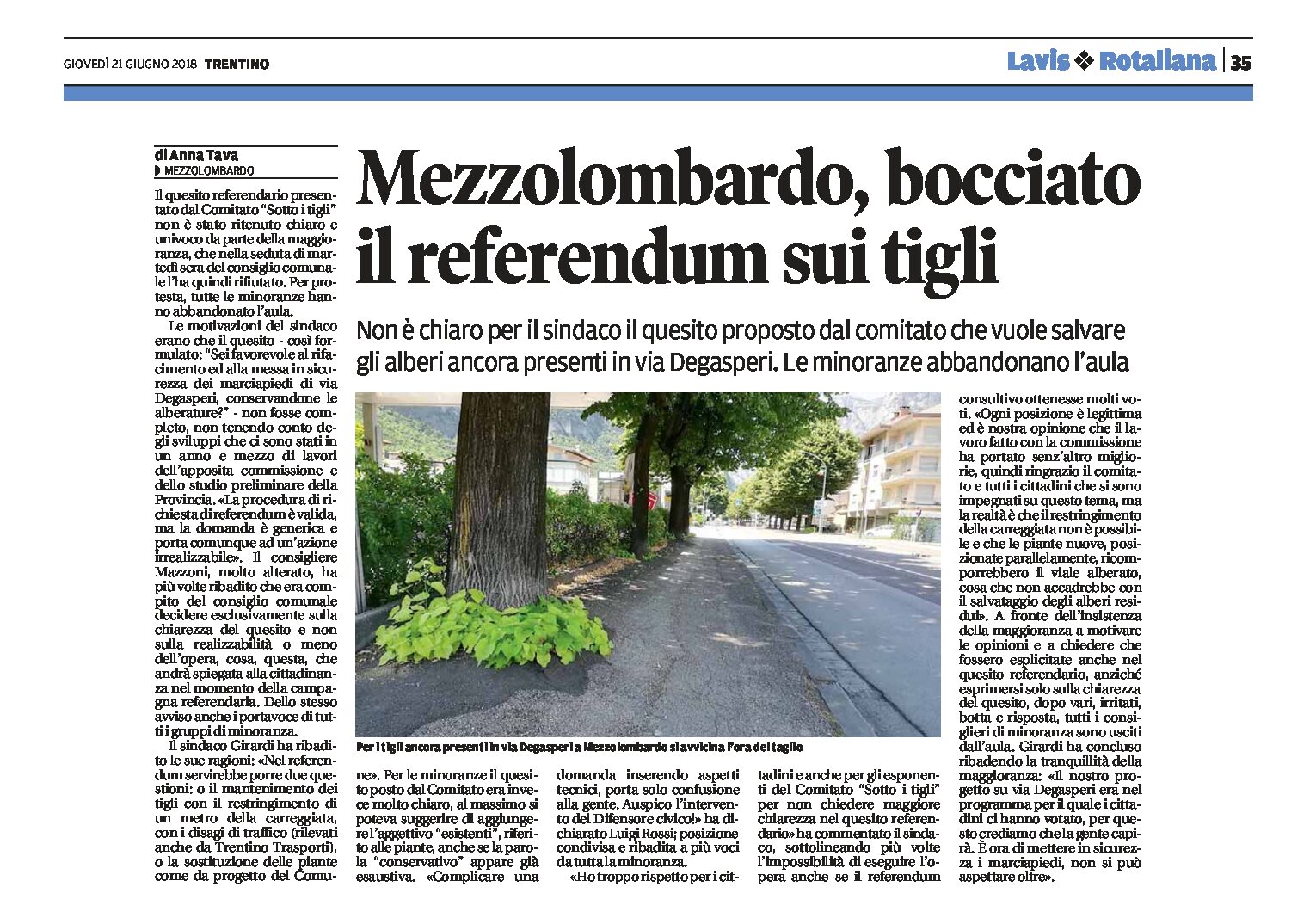 Mezzolombardo, tigli: bocciato il referendum