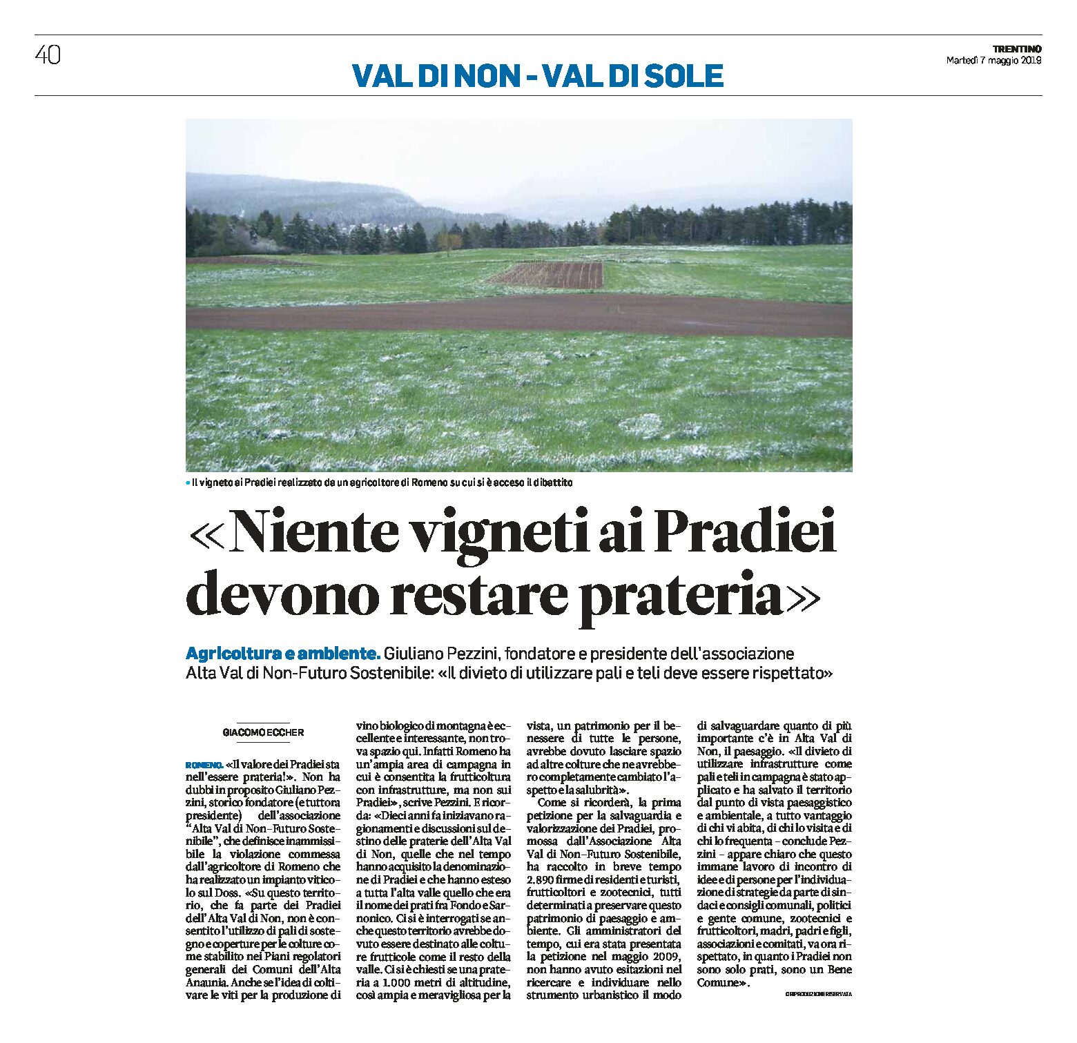 Romeno, Pradiei: niente vigneti, deve restare prateria