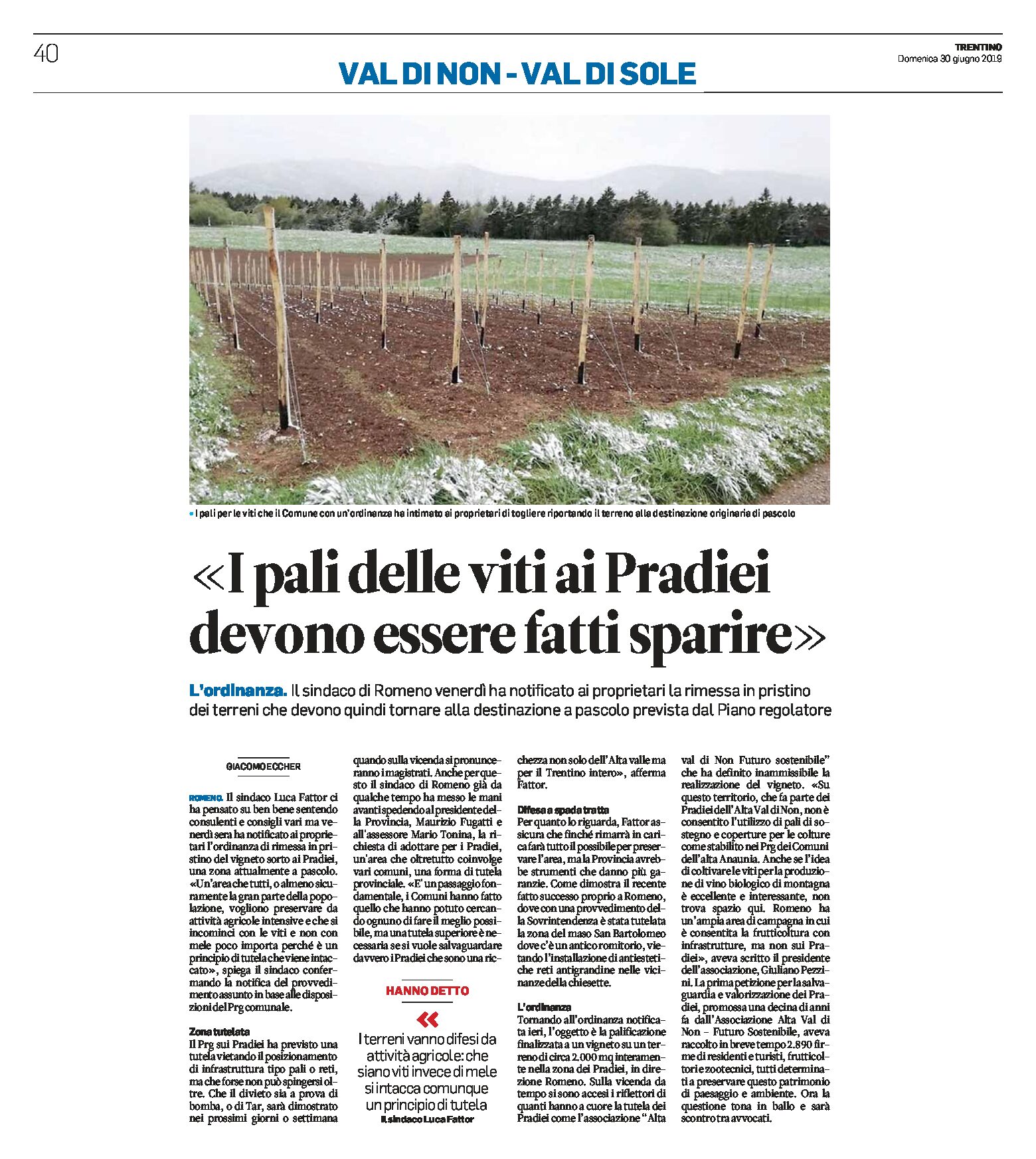 Romeno, Pradiei: i pali delle viti devono esser fatti sparire