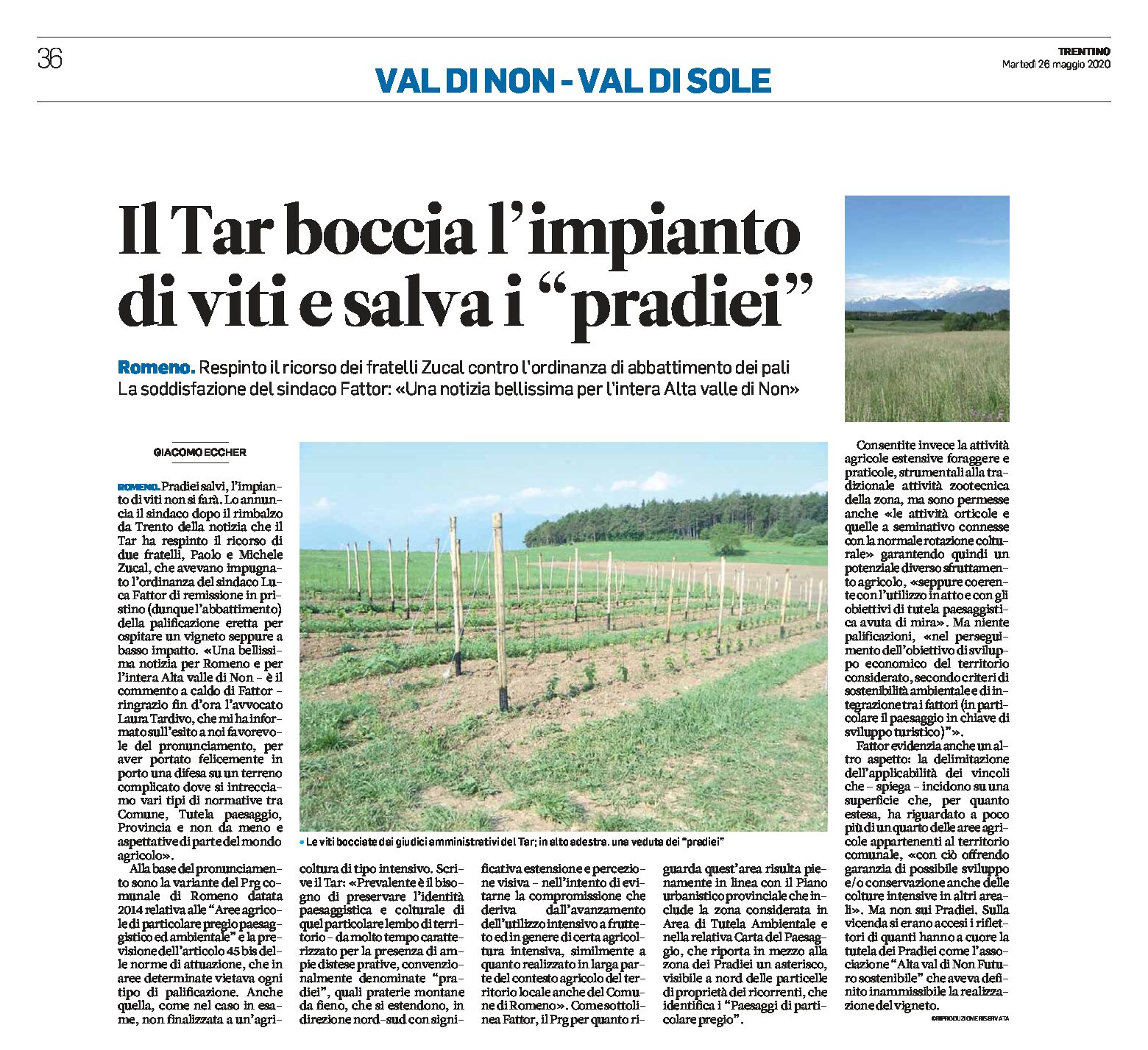 Romeno, valle di Non: il Tar boccia l’impianto di viti e salva i “Pradiei”