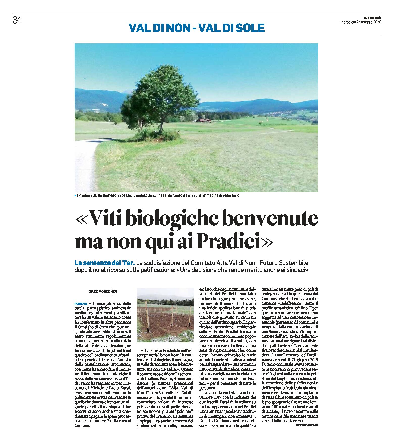 Romeno: viti biologiche benvenute, ma non qui ai Pradiei