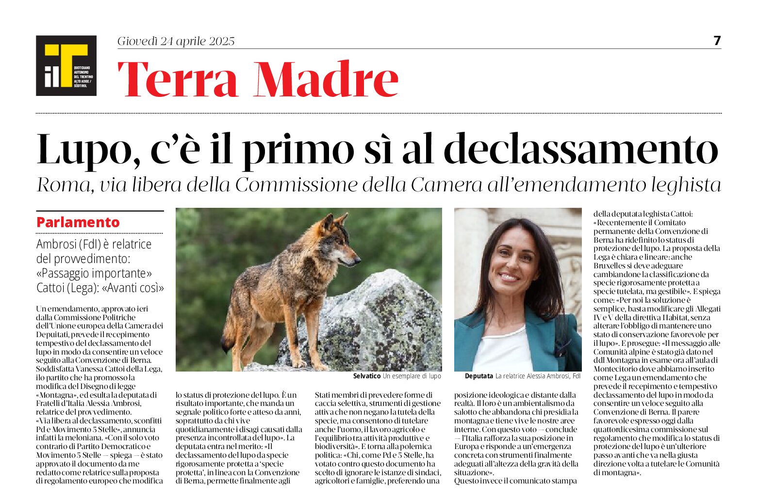 Lupo: c’è il primo sì al declassamento europeo
