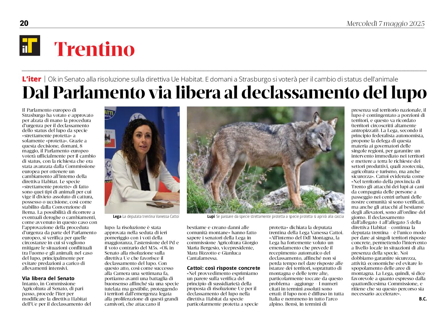 Dal Parlamento via libera al declassamento del lupo