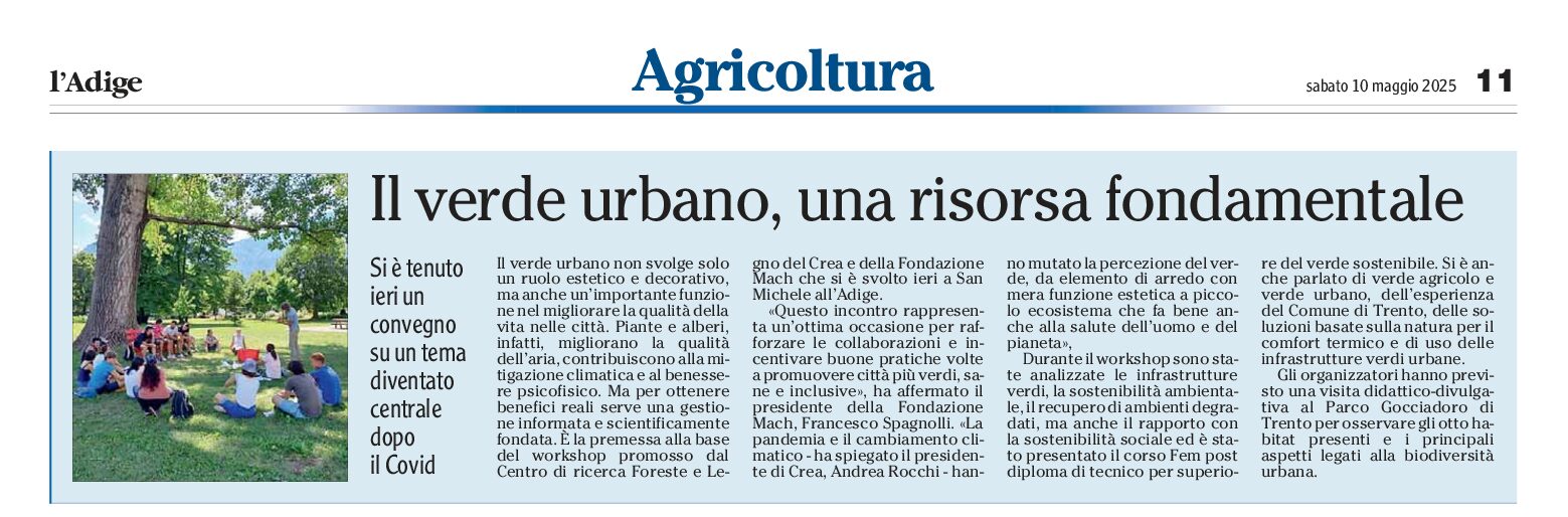 Verde urbano: risorsa fondamentale