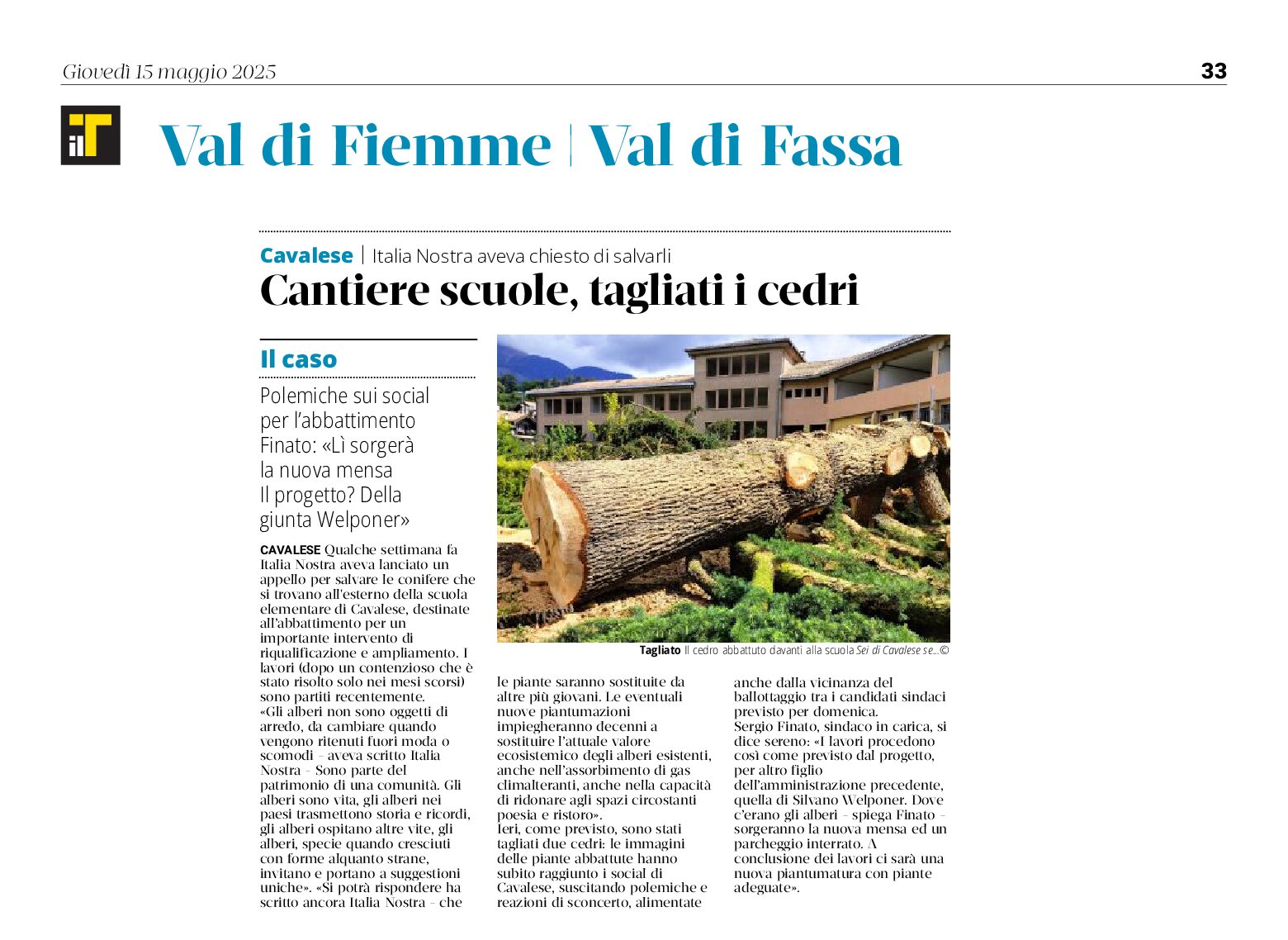 Cavalese. Tagliati i cedri alla scuola elementare