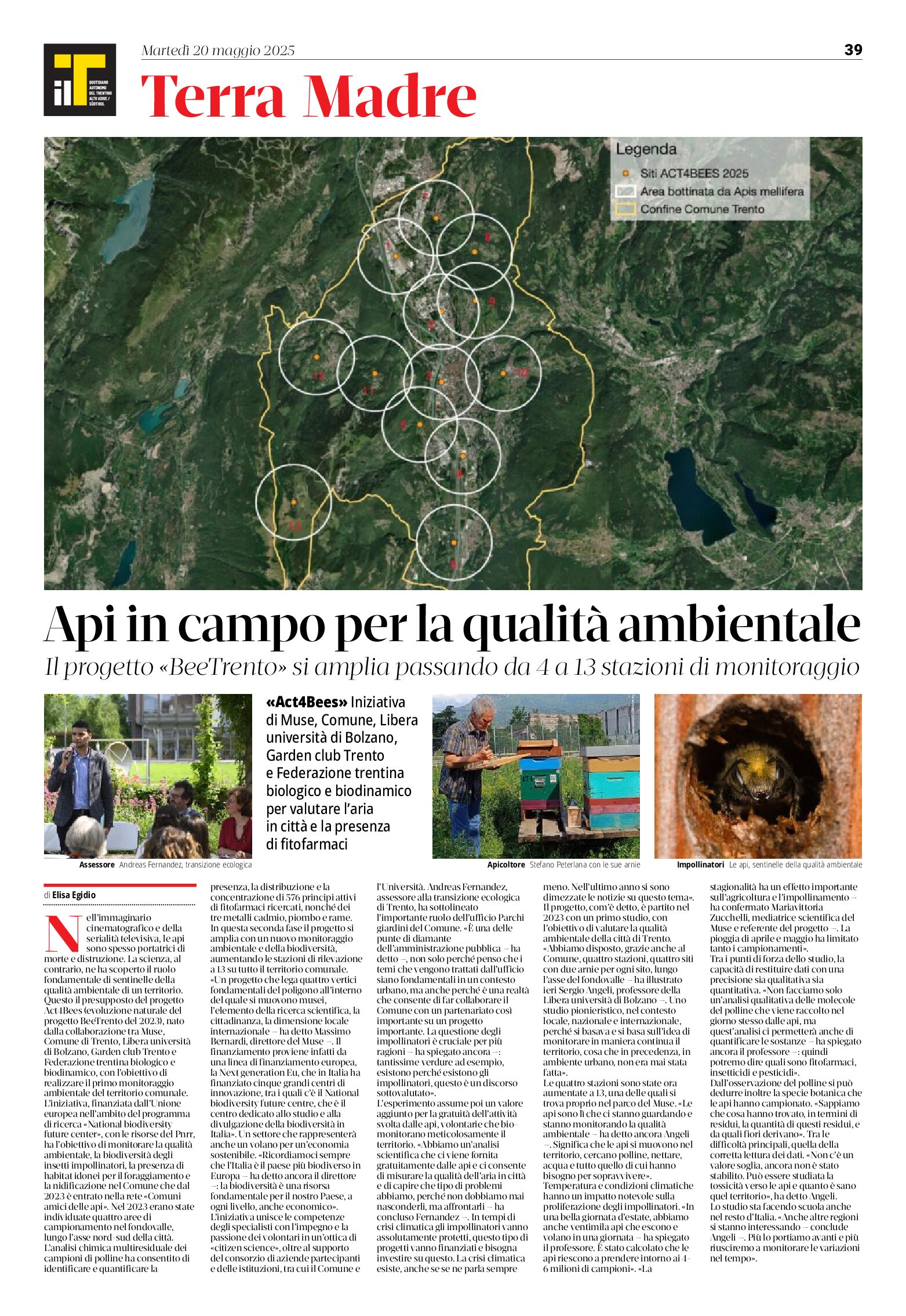 Le api e la qualità dell’ambiemte
