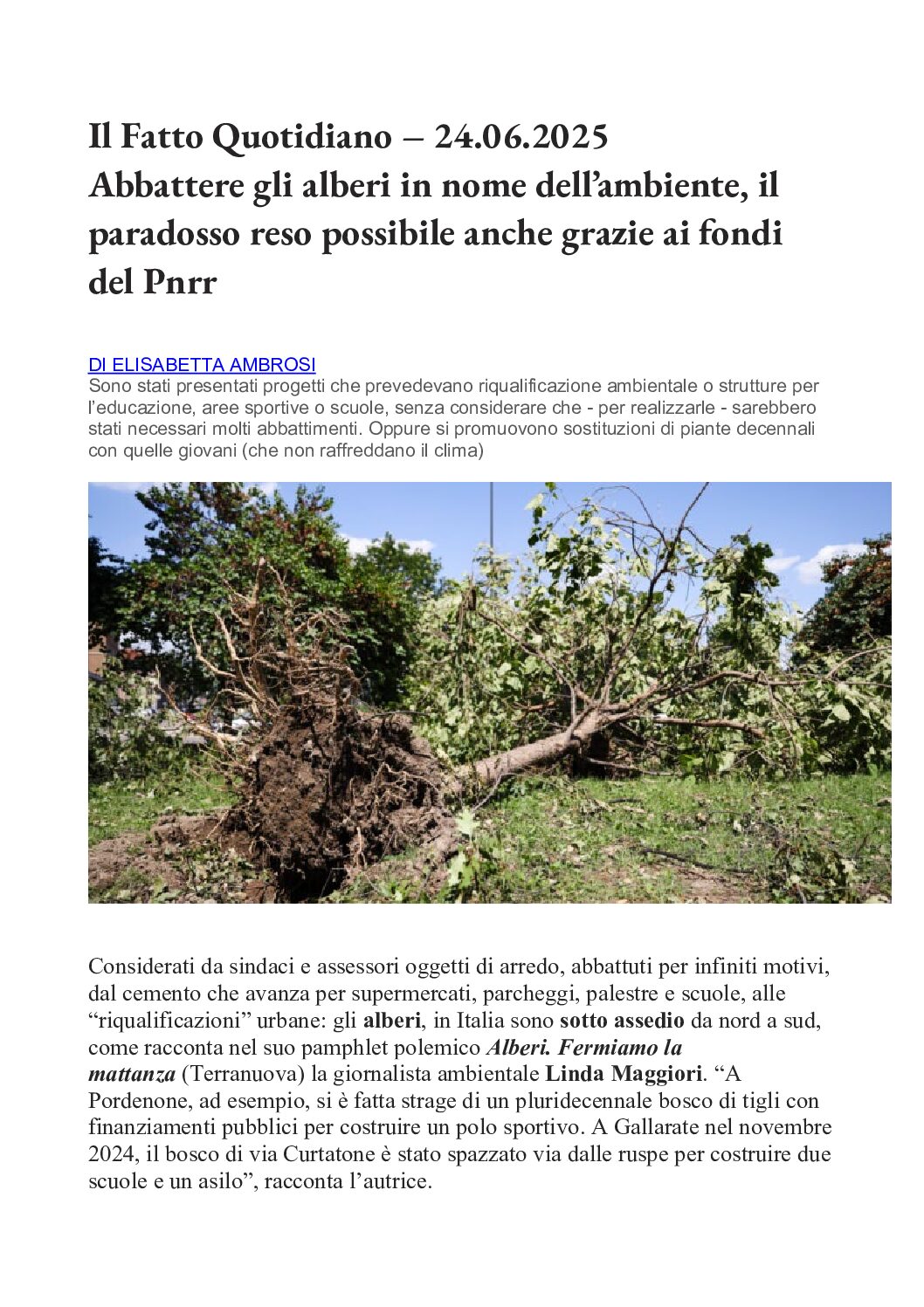 Abbattere gli alberi in nome dell’ambiente