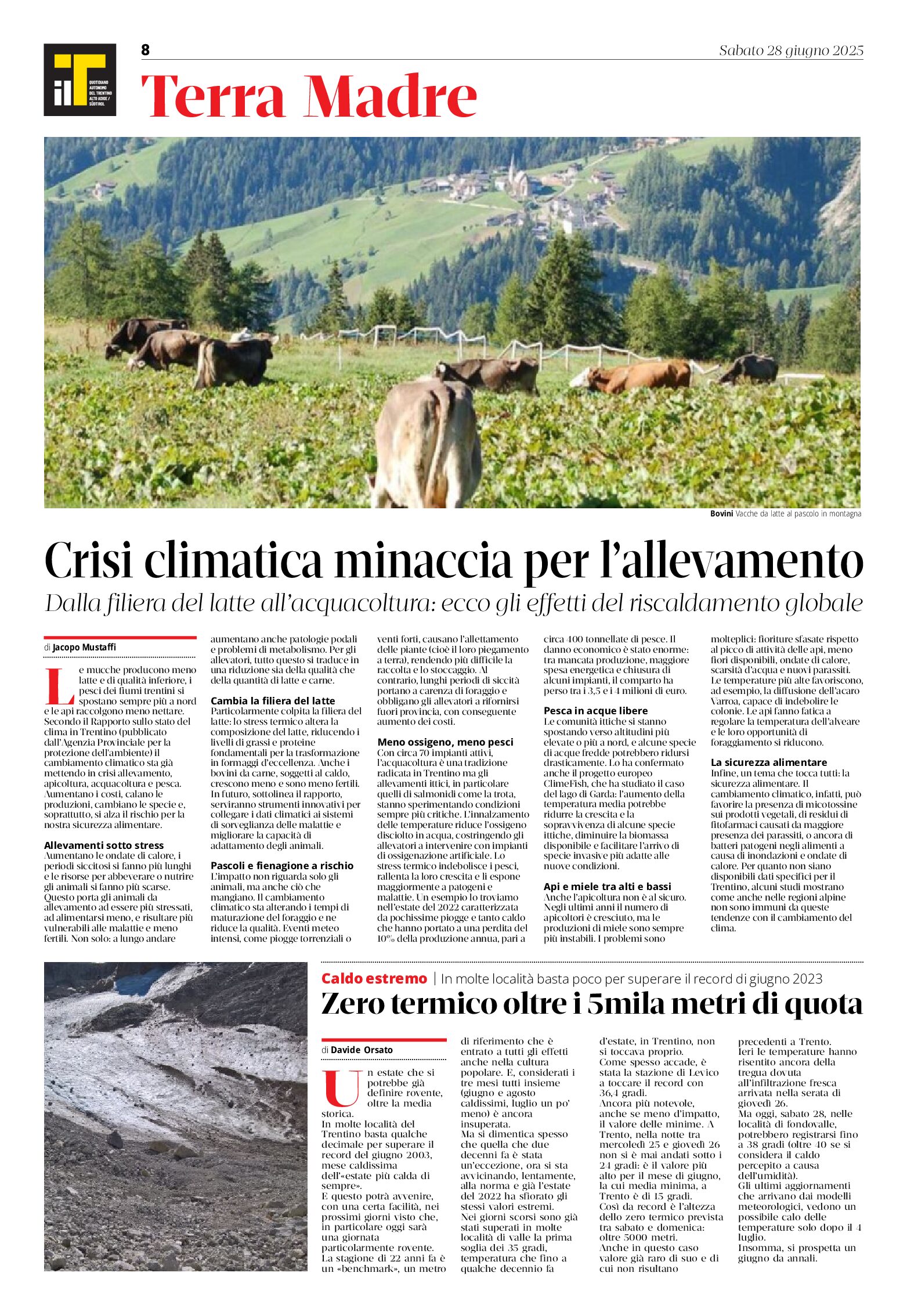 Crisi climatica: minaccia per l’allevamento