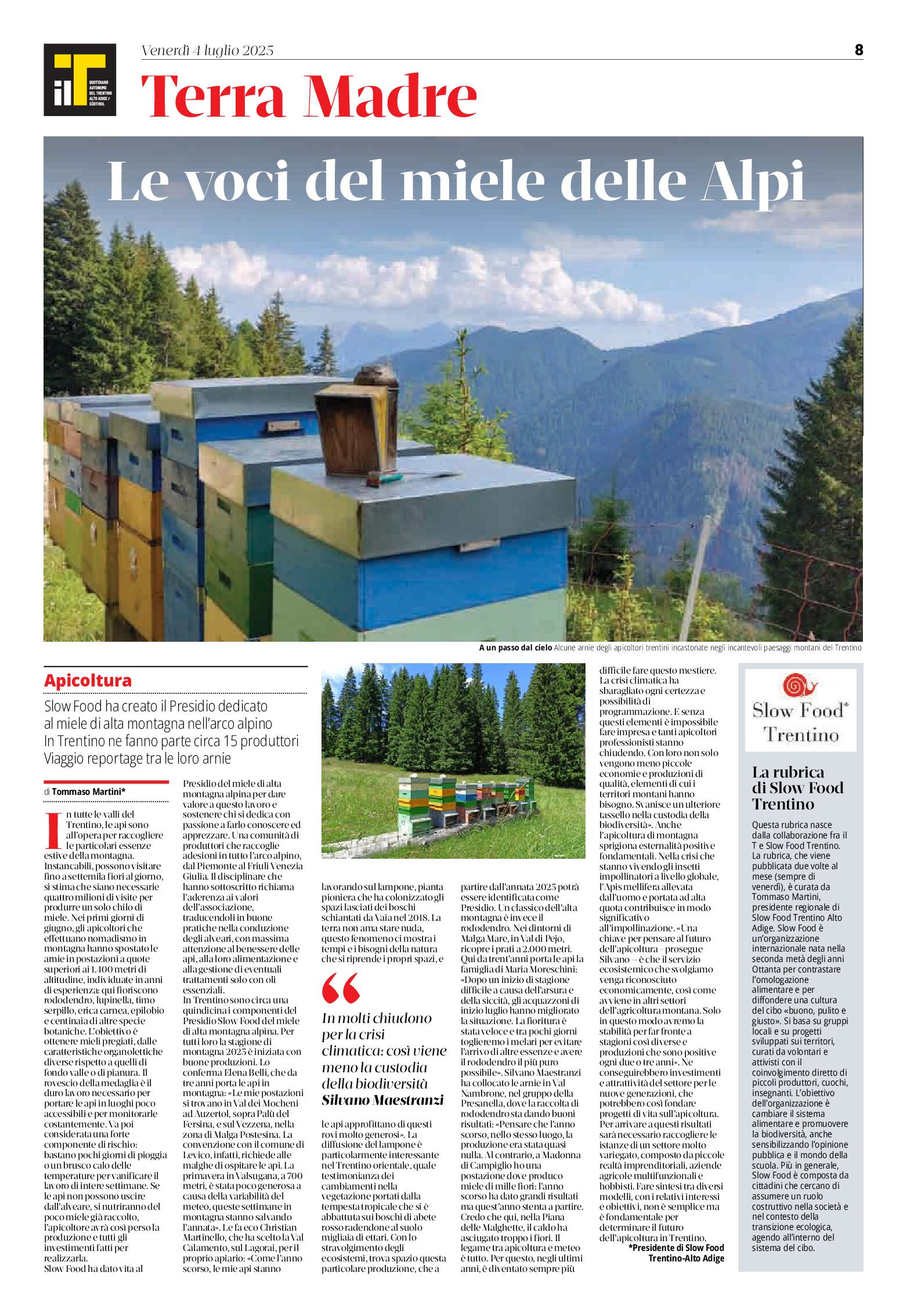 Le voci del miele delle Alpi