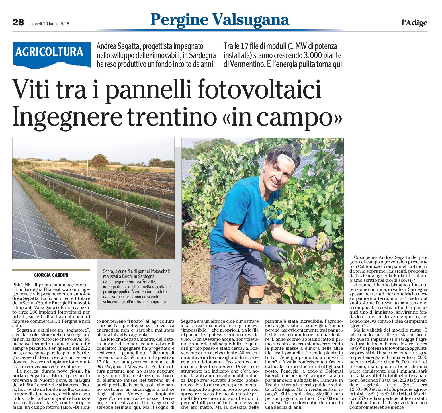 Agrivoltaico tra le viti