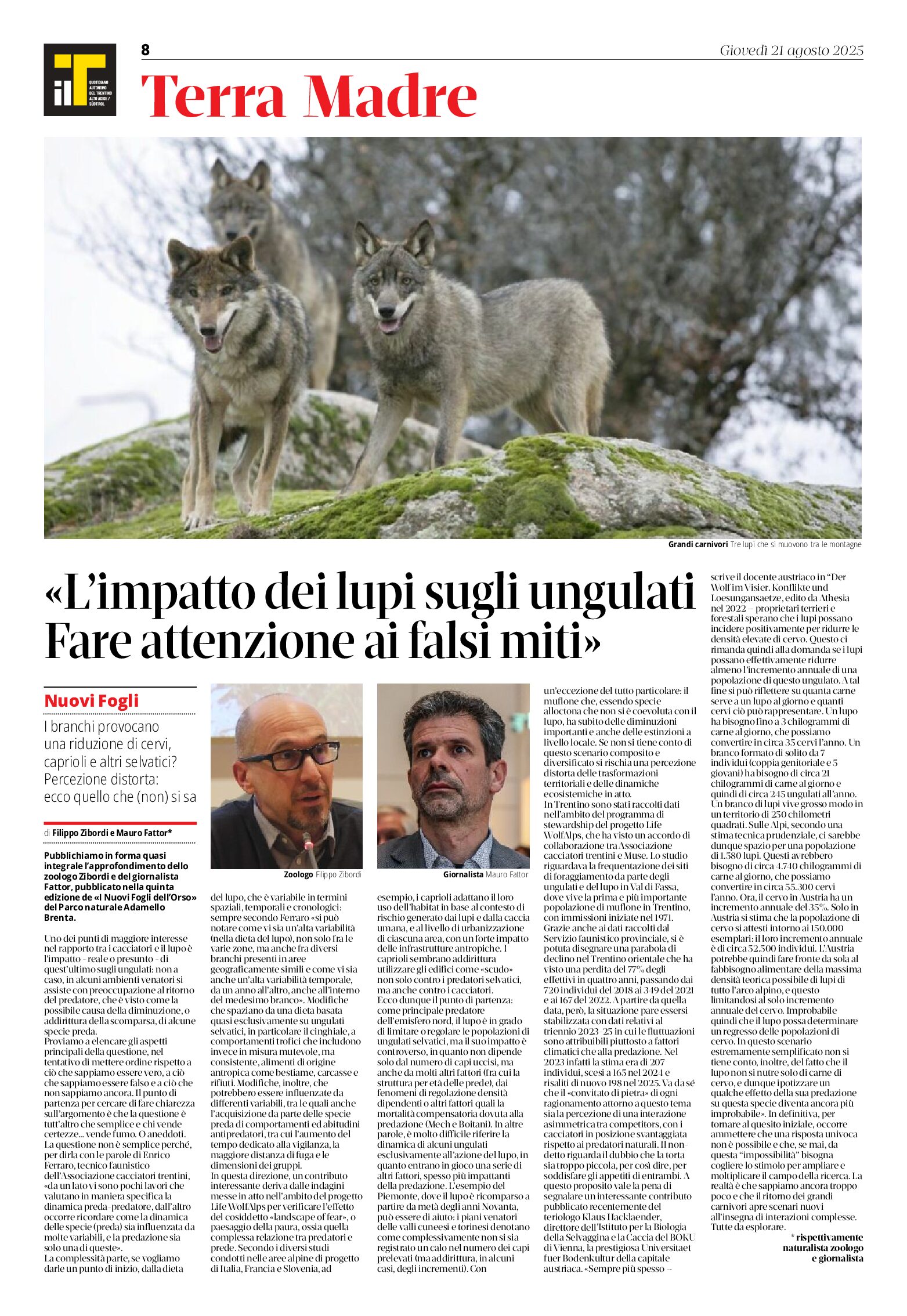 Impatto dei lupi sugli ungulati: attenzione ai falsi miti