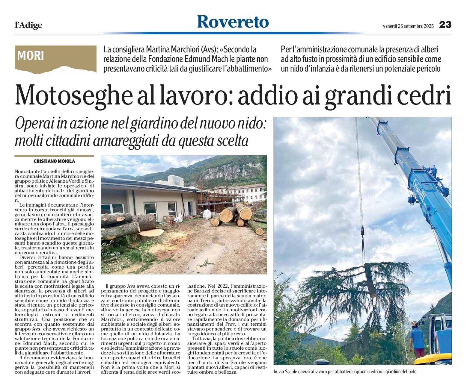 Mori: abbattuti i grandi cedri