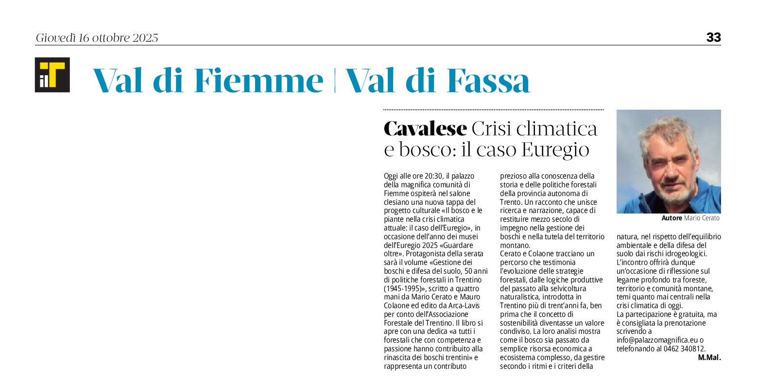 Crisi climaticaa e bosco