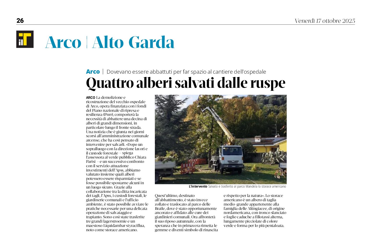 Arco: 4 alberi salvati dalle ruspe