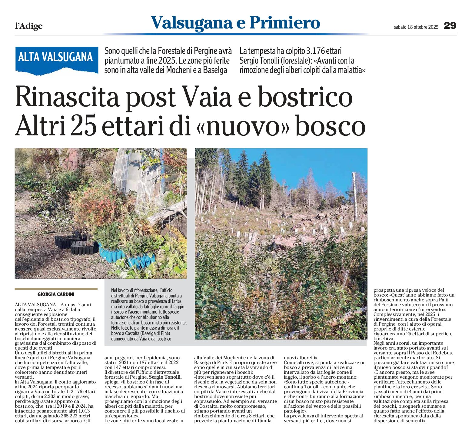 Valsugana, Rinascita post Vaia
