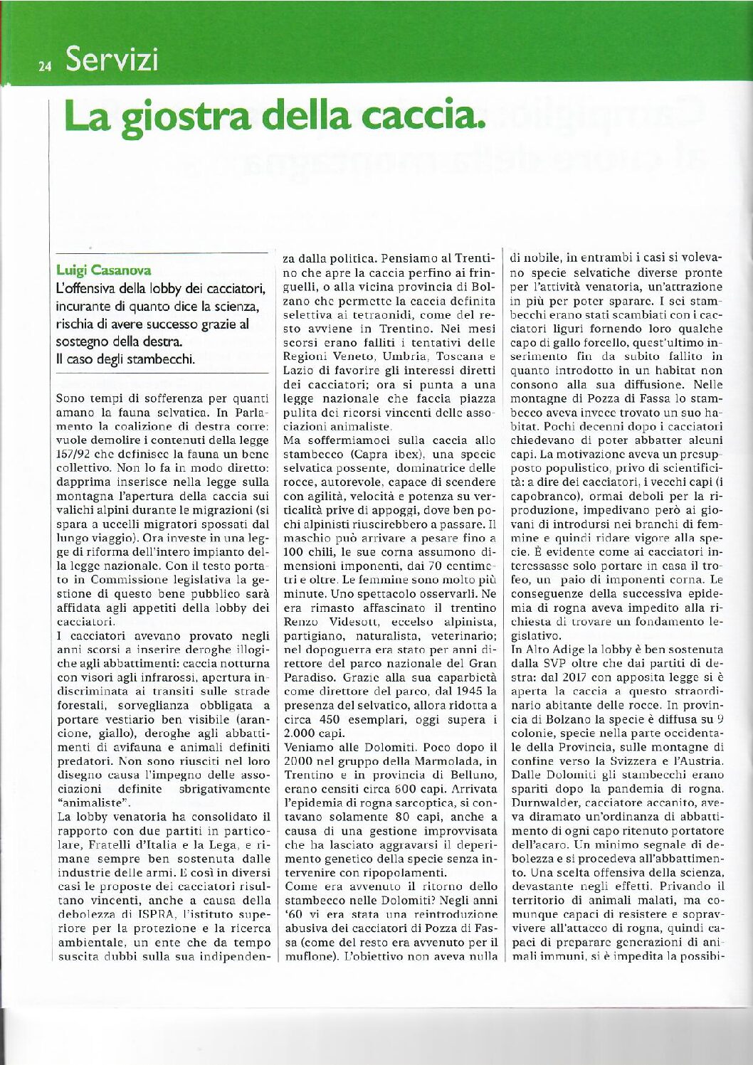 La giostra della caccia