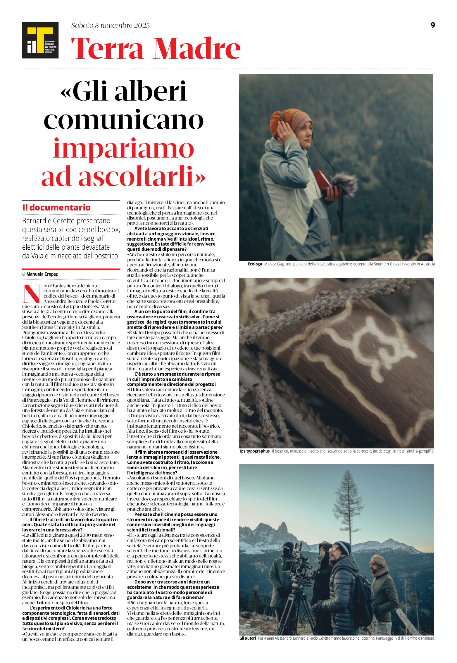 Gli alberi comunicano