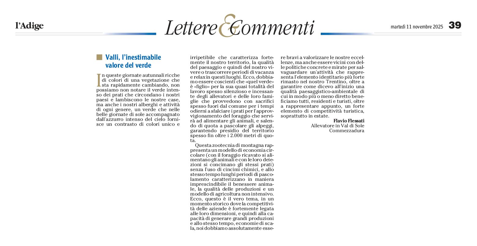 Lettera: il valore del verde