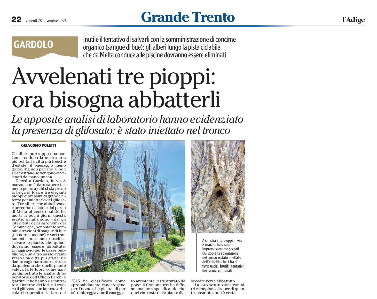 Gardolo: avvelenati 3 pioppi