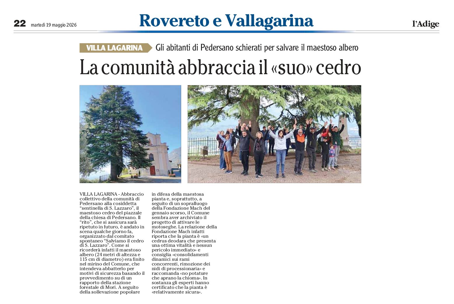 Salvo il cedro di Pedersano